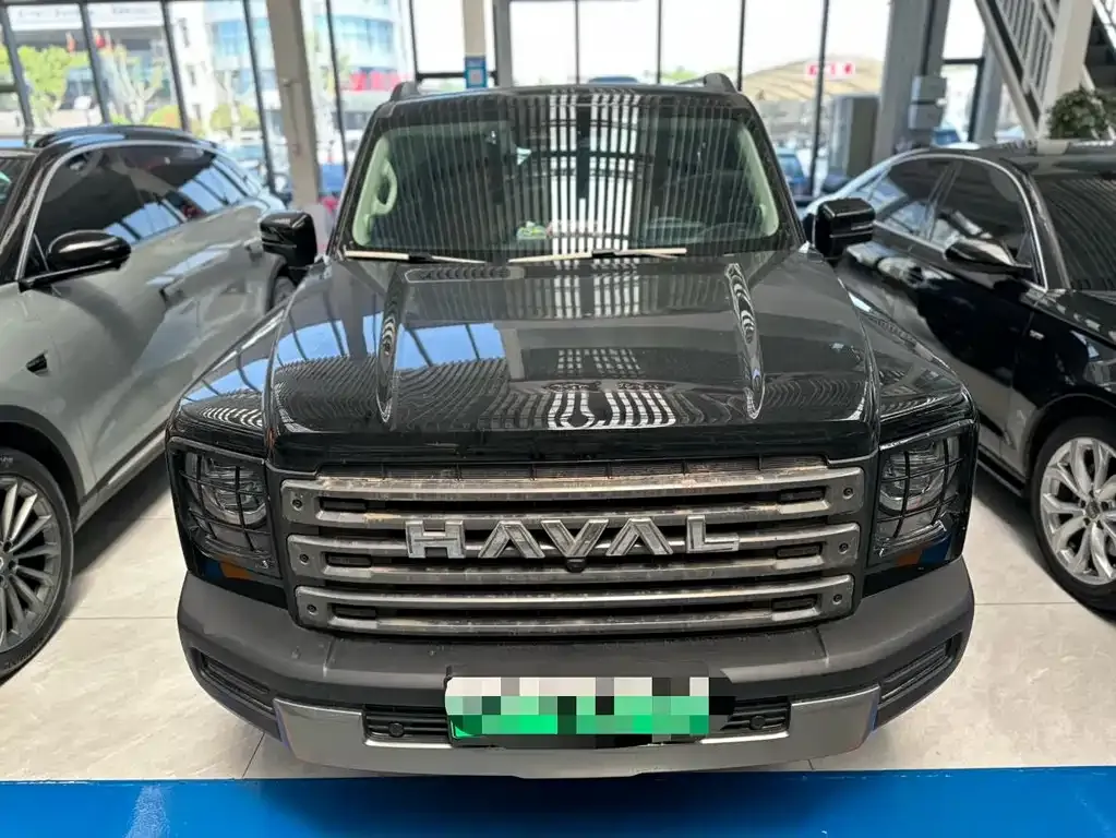 Haval Menglong New Energy 2024 из CN, фото 4