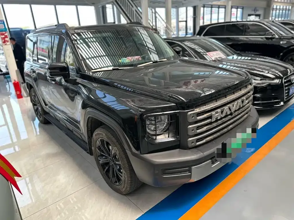 Haval Menglong New Energy 2024 из CN, фото 2