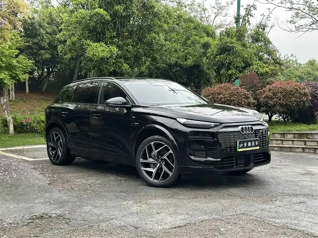 Audi Q6L e-tron 2025 из CN, фото 10