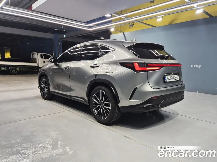 Lexus NX 2025 из KR, фото 3