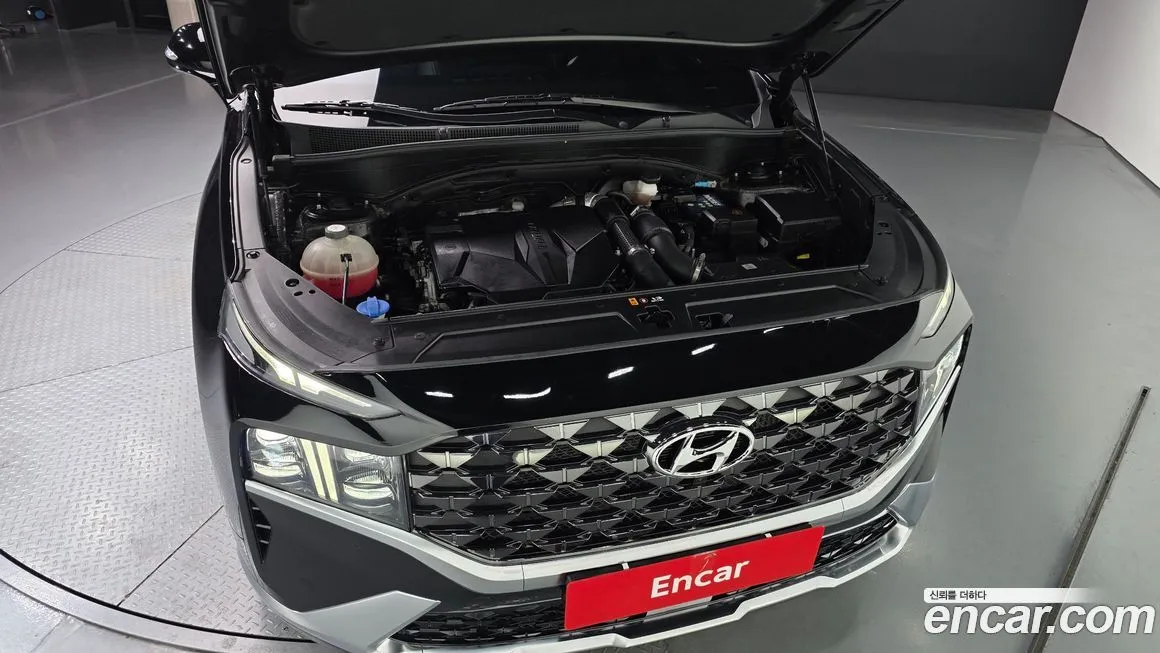 Hyundai Santafe 2021 из KR, фото 10