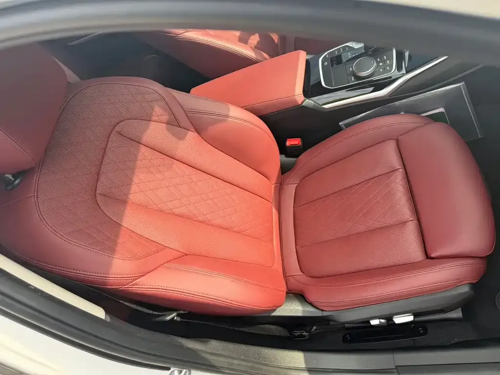 BMW 3 Series 2021 из CN, фото 3