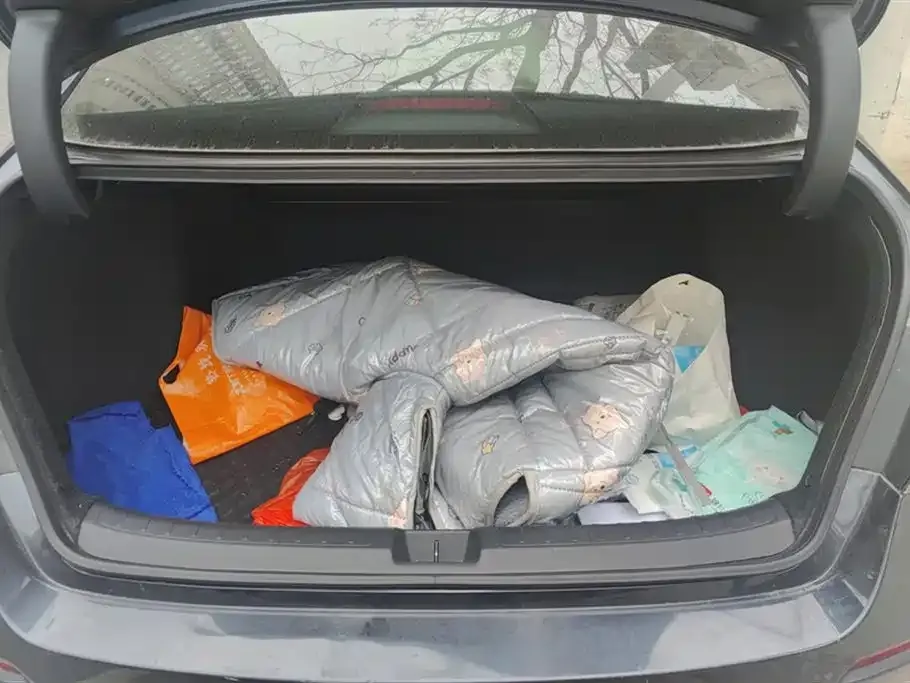 Honda Civic 2023 из CN, фото 2