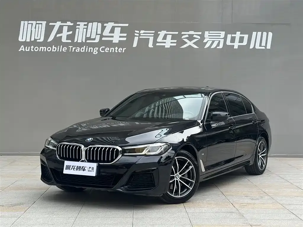 BMW 5 Series 2021 из CN, фото 1