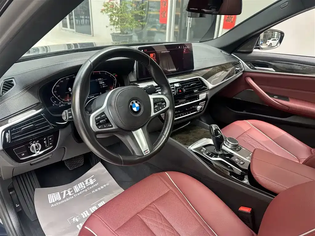 BMW 5 Series 2021 из CN, фото 7