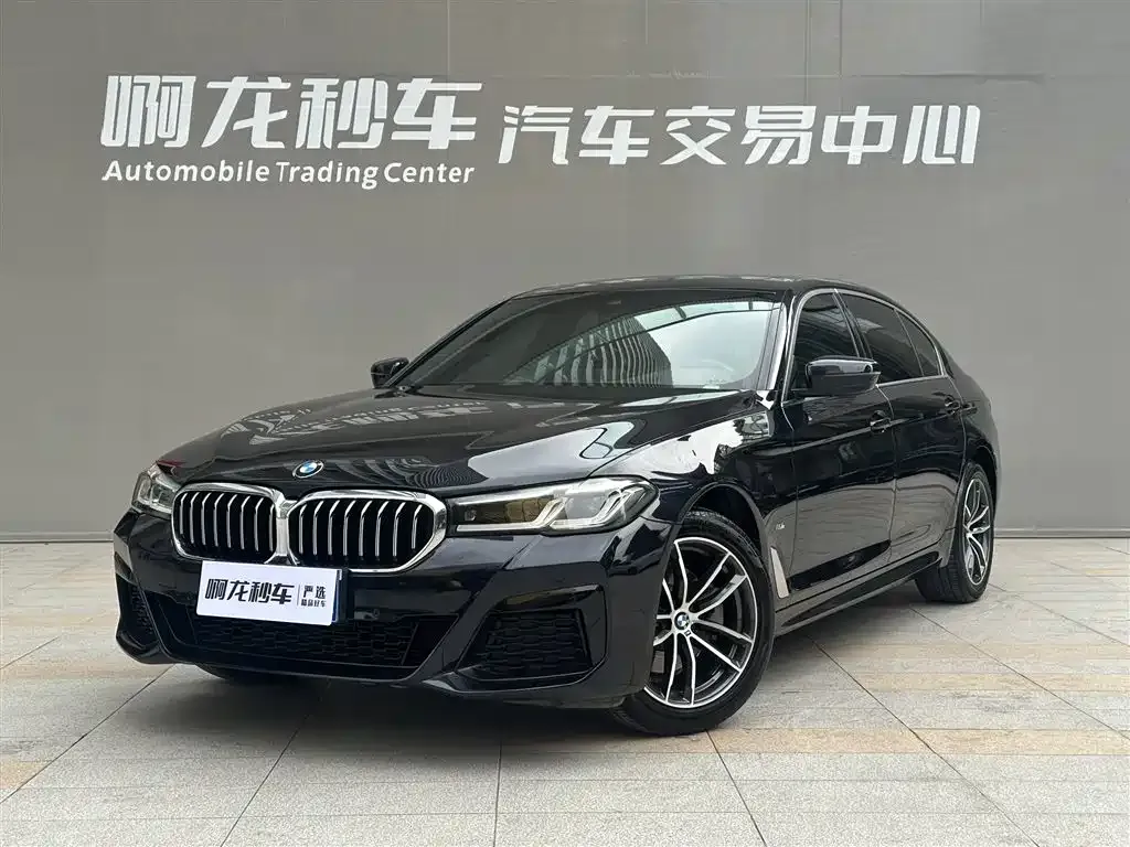 BMW 5 Series 2021 из CN, фото 4