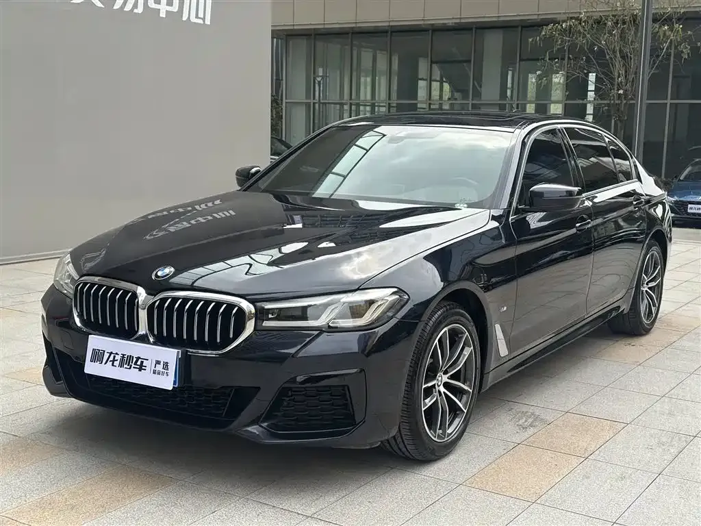 BMW 5 Series 2021 из CN, фото 2