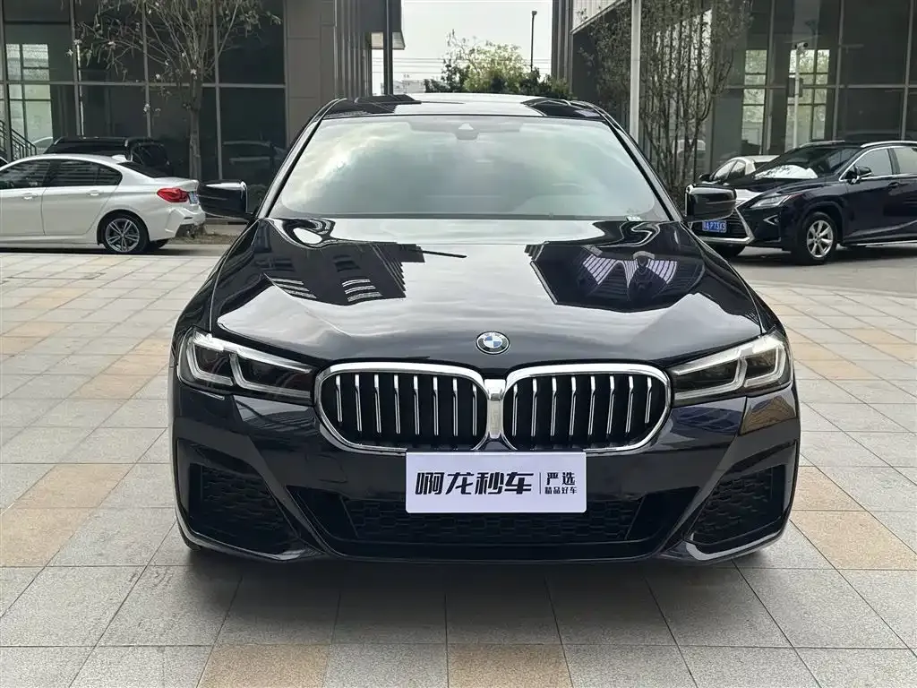 BMW 5 Series 2021 из CN, фото 3