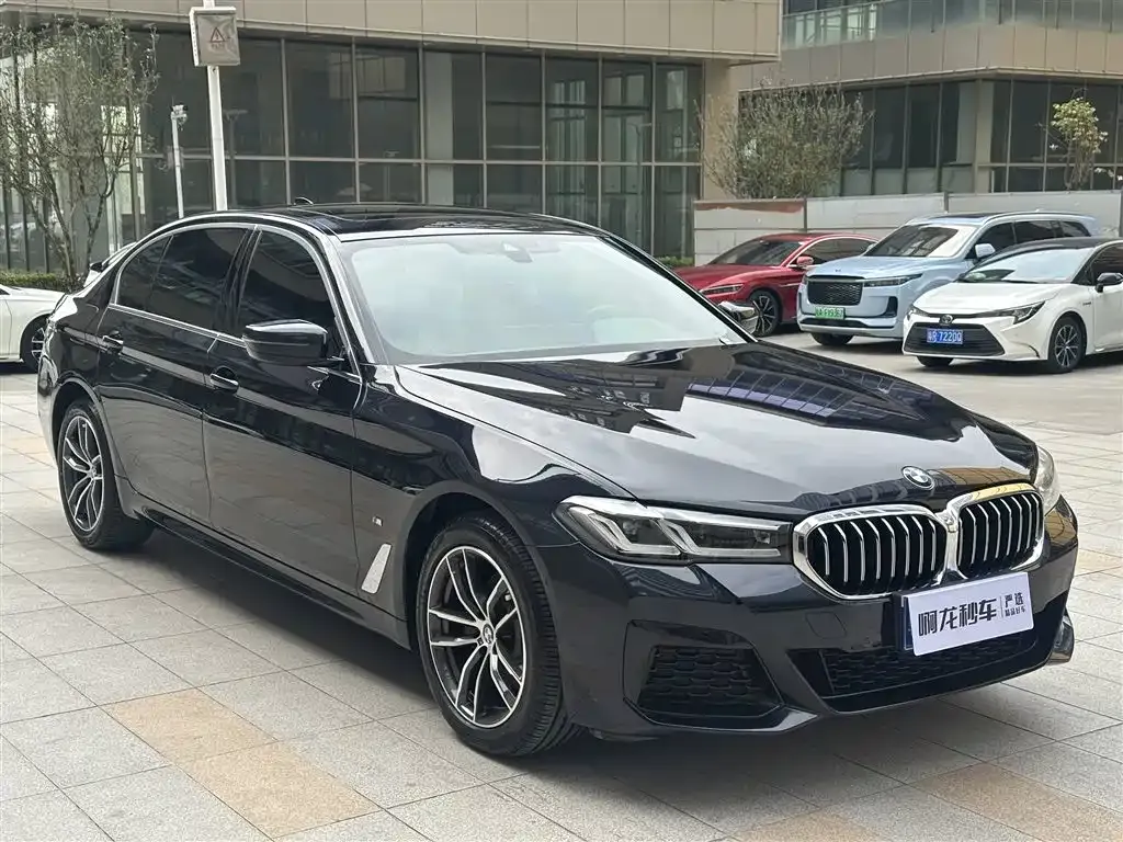 BMW 5 Series 2021 из CN, фото 10