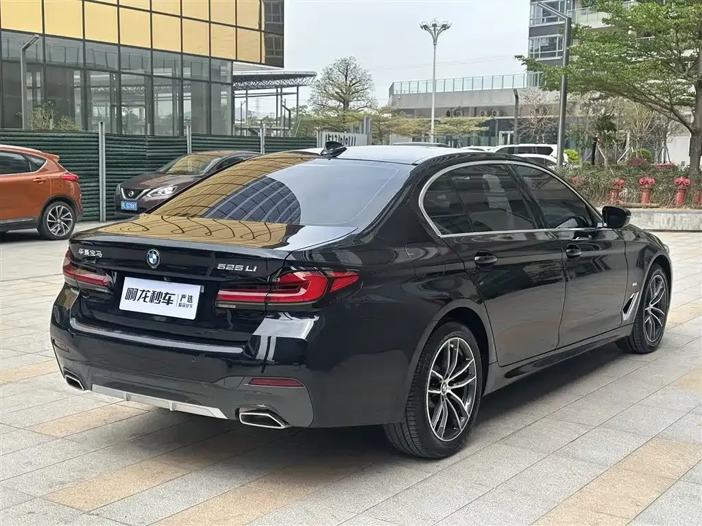 BMW 5 Series 2021 из CN, фото 5