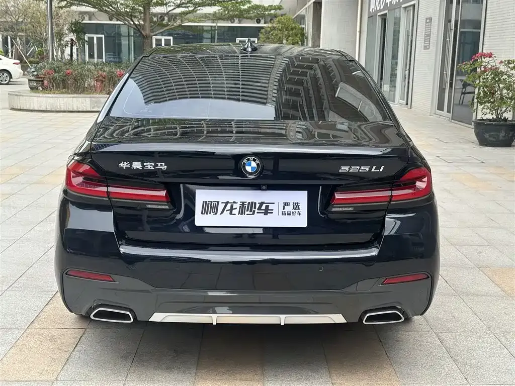 BMW 5 Series 2021 из CN, фото 8