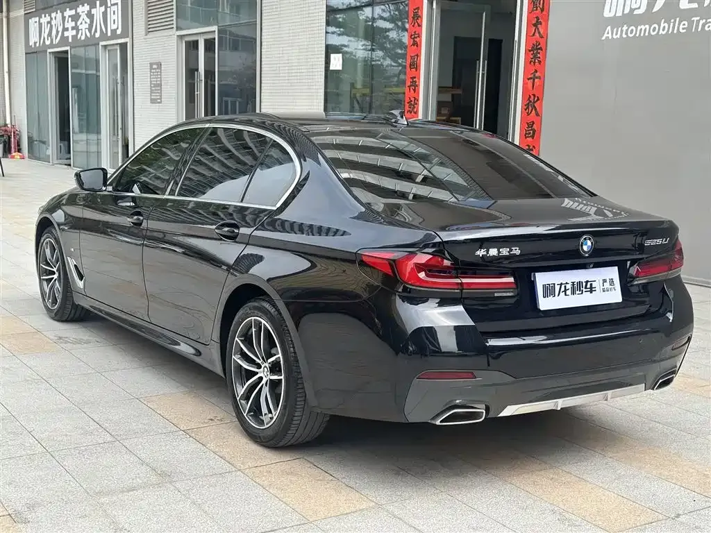 BMW 5 Series 2021 из CN, фото 9