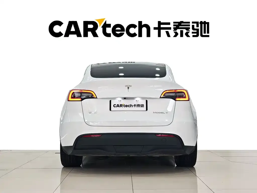 Tesla Model Y 2023 из CN, фото 6