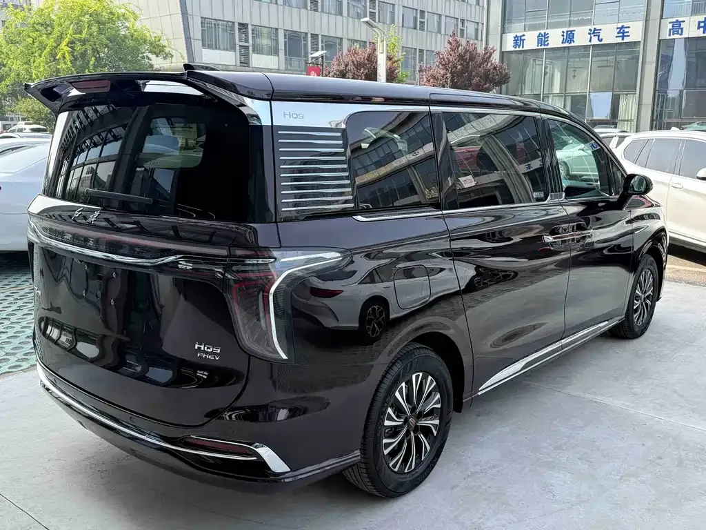 Hongqi HQ9 PHEV — фото 9