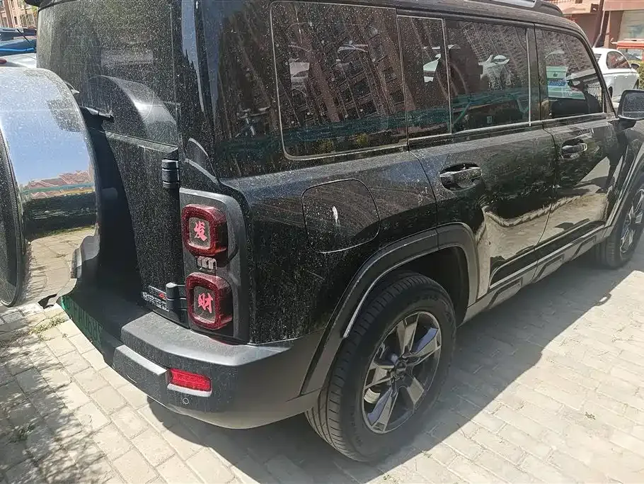 Haval Menglong New Energy 2023 из CN, фото 10