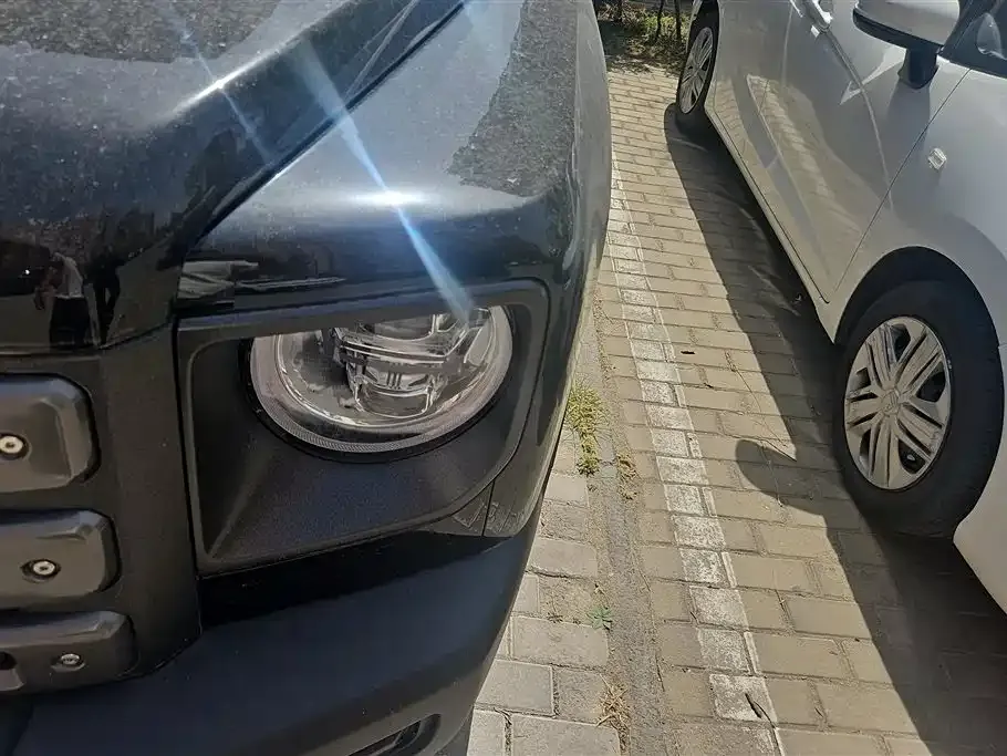 Haval Menglong New Energy 2023 из CN, фото 4