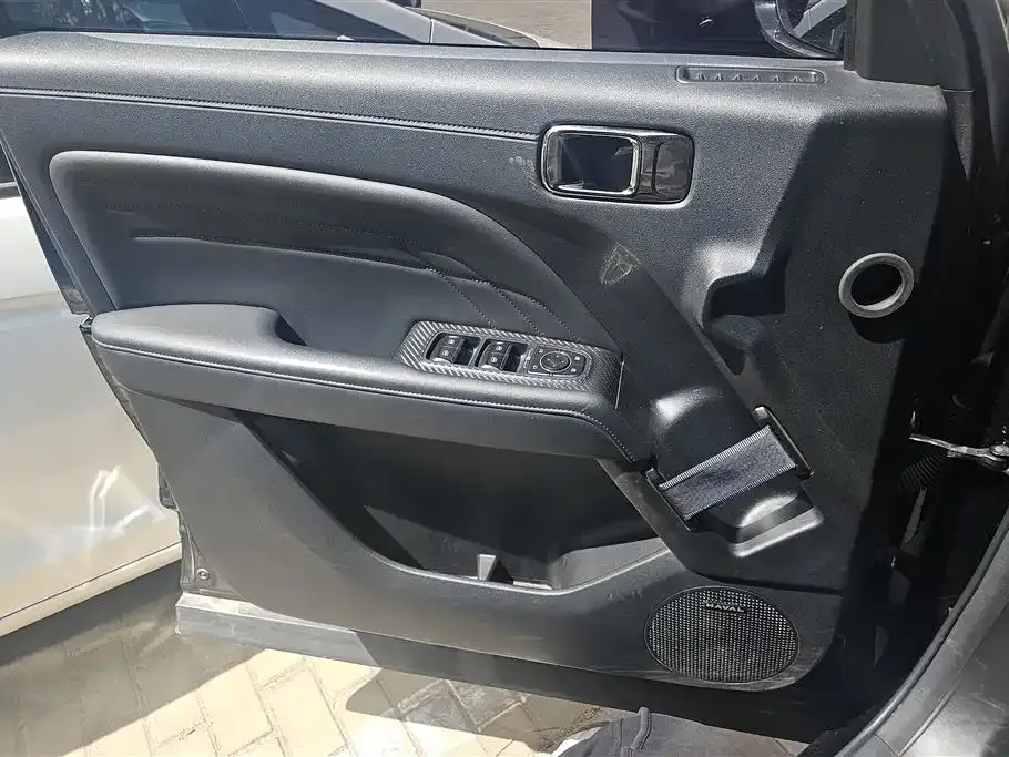Haval Menglong New Energy 2023 из CN, фото 3