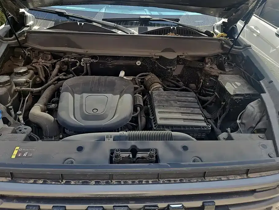 Haval Menglong New Energy 2023 из CN, фото 6