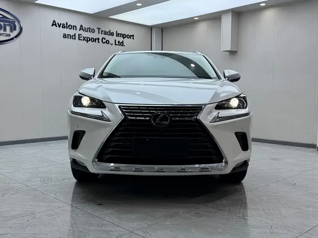 Lexus NX 2021 из CN, фото 3