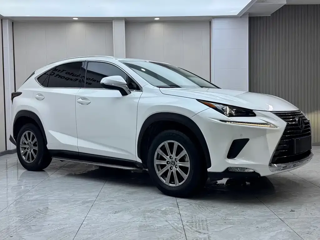 Lexus NX 2021 из CN, фото 7