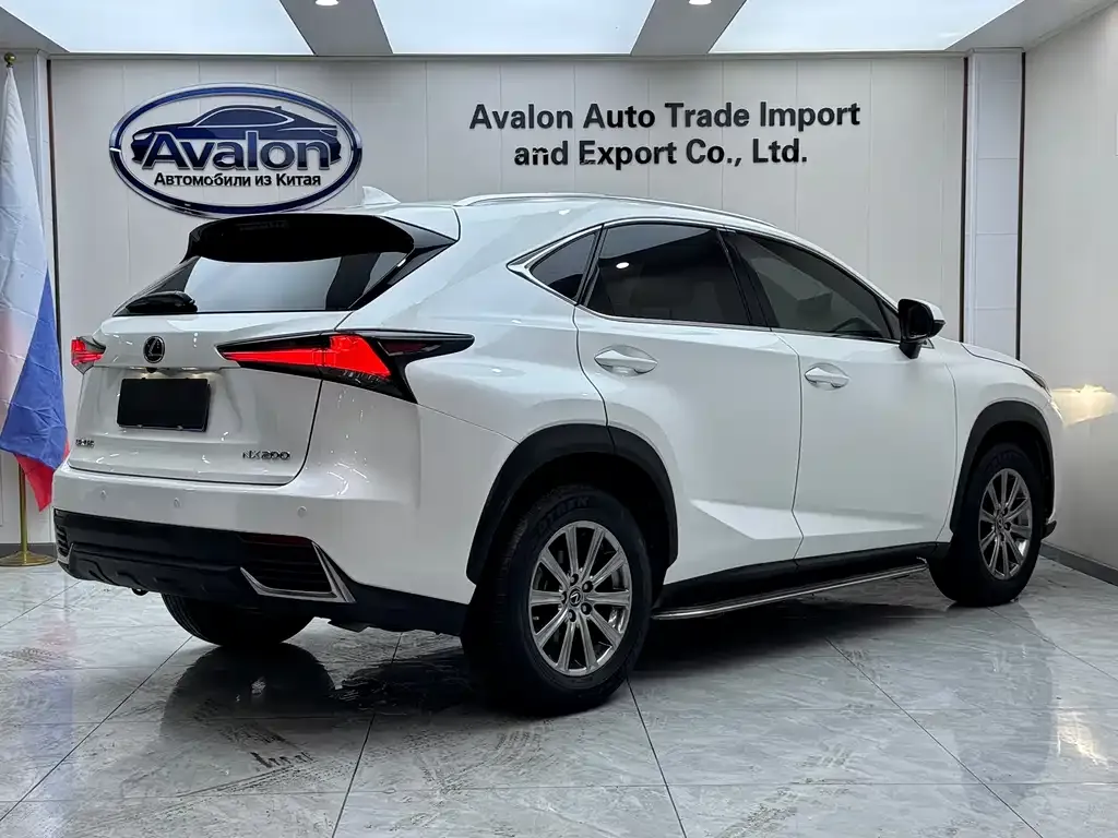 Lexus NX 2021 из CN, фото 9