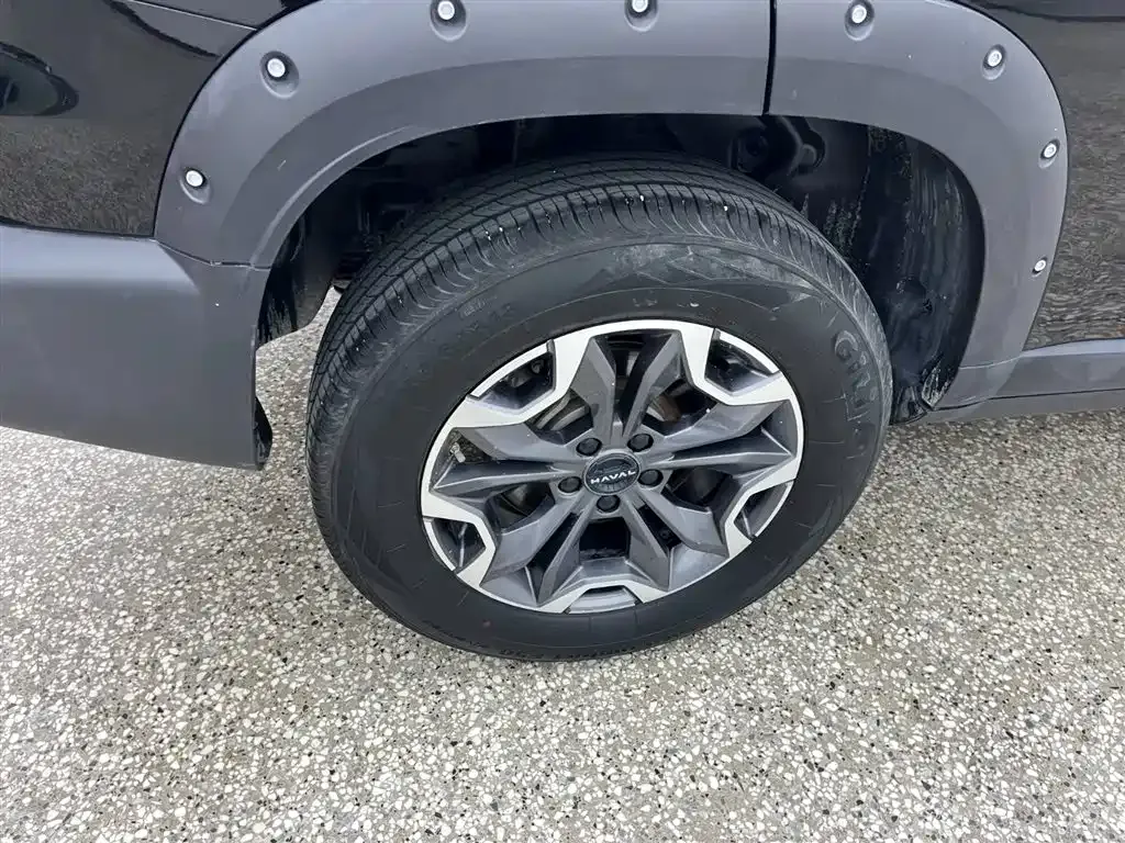 Haval Big Dog — фото 10