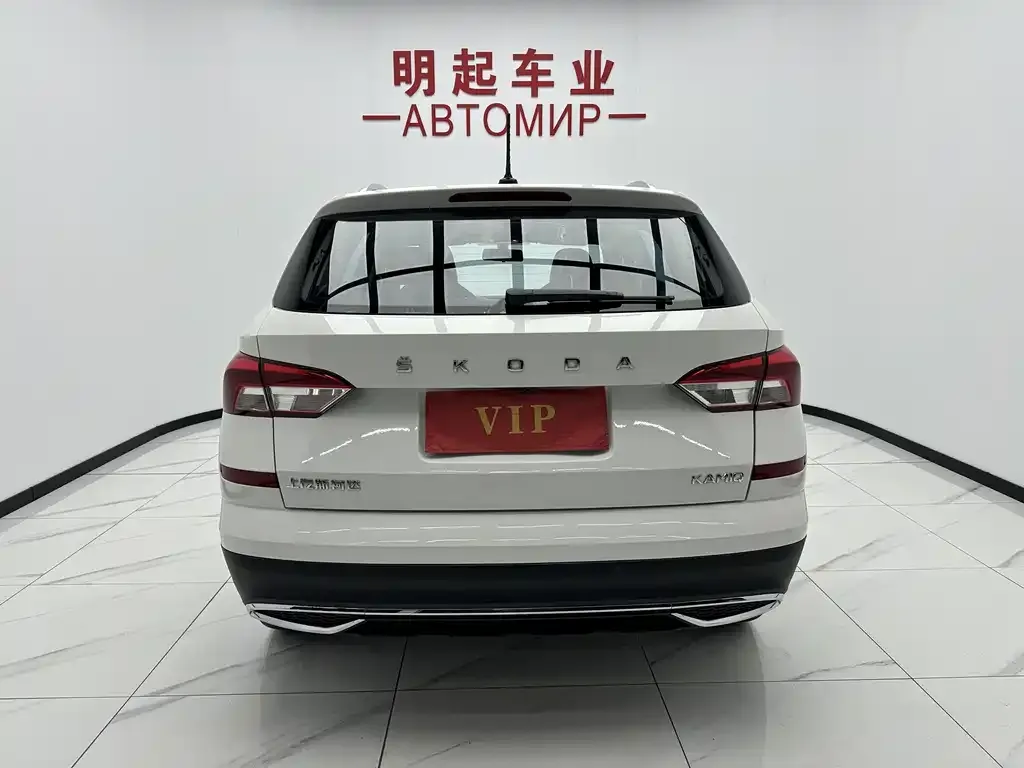 Skoda Kamiq 2021 из CN, фото 5