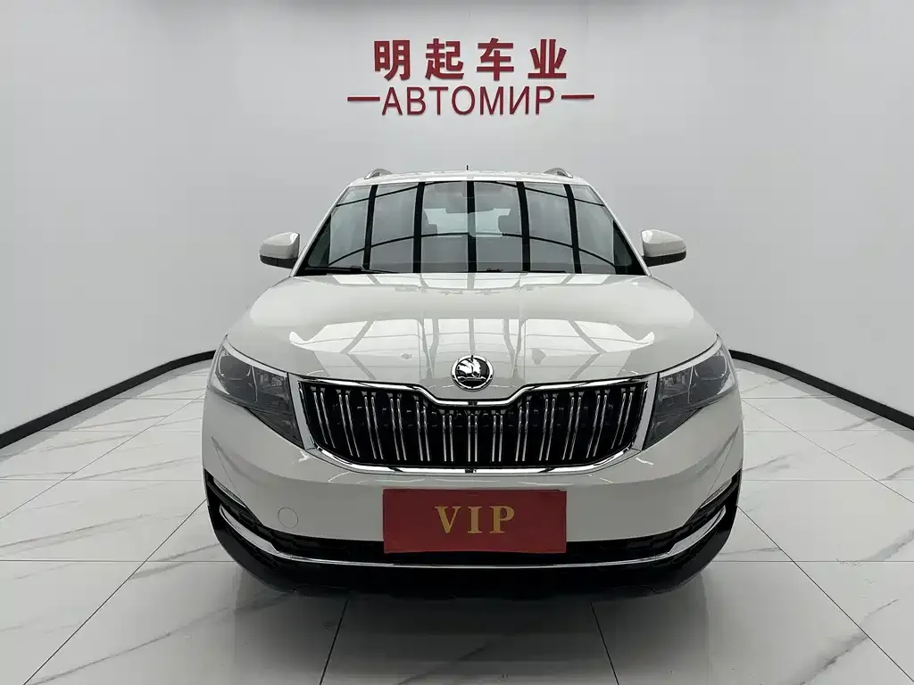Skoda Kamiq 2021 из CN, фото 3