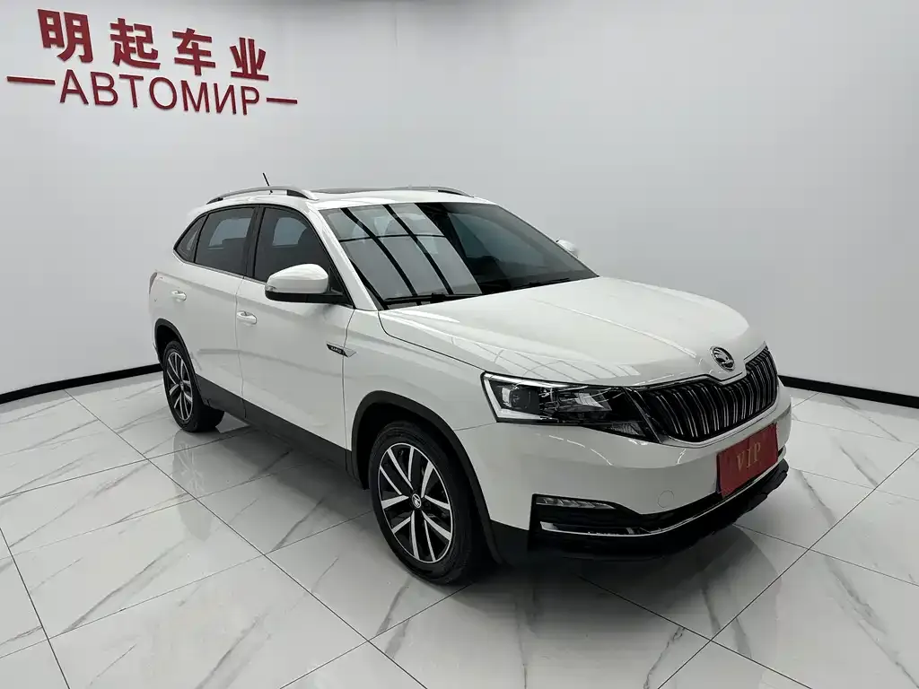 Skoda Kamiq 2021 из CN, фото 9