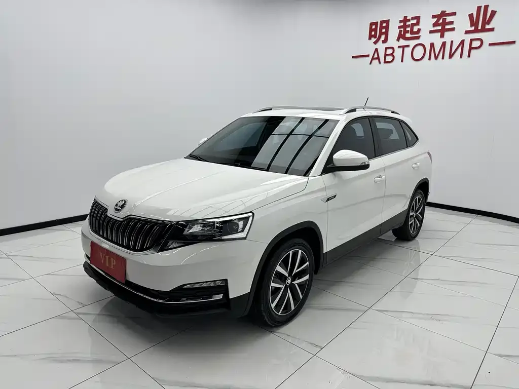 Skoda Kamiq 2021 из CN, фото 6