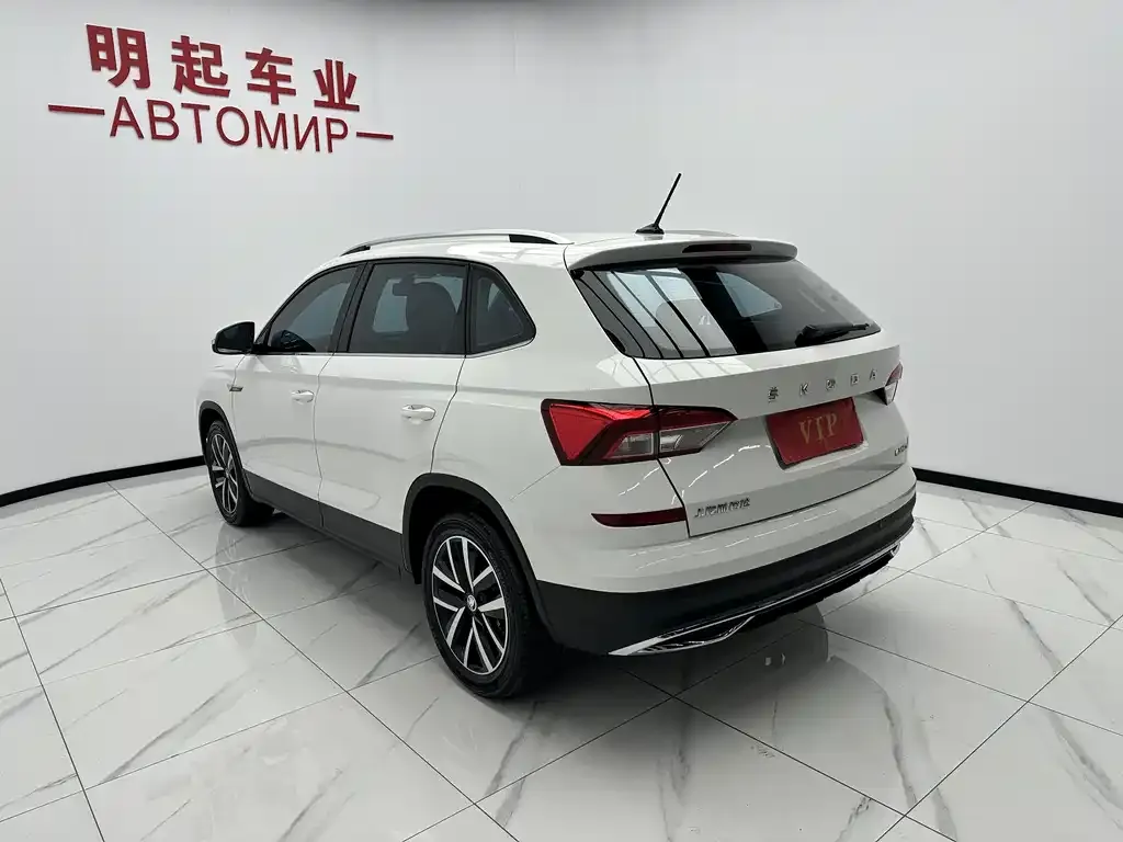 Skoda Kamiq 2021 из CN, фото 7