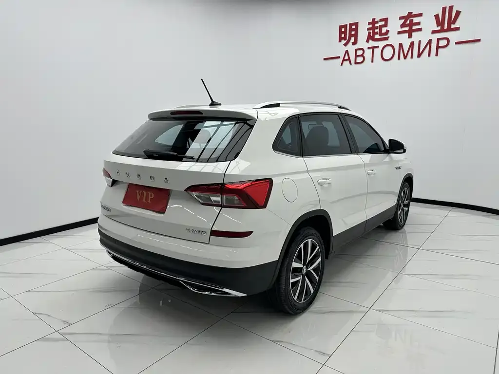 Skoda Kamiq 2021 из CN, фото 2