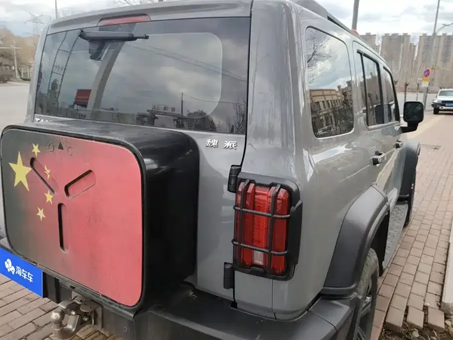 Tank 300 2022 из CN, фото 4