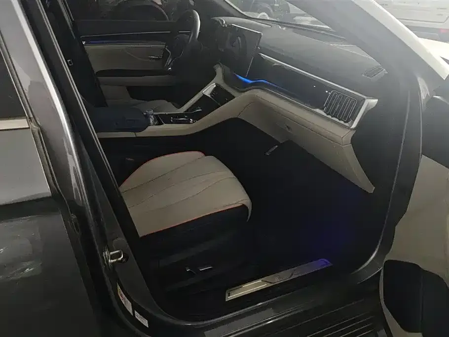 BYD PLUS New Energy — фото 10