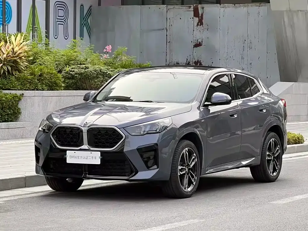 BMW X2 (Import) 2024 из CN, фото 1