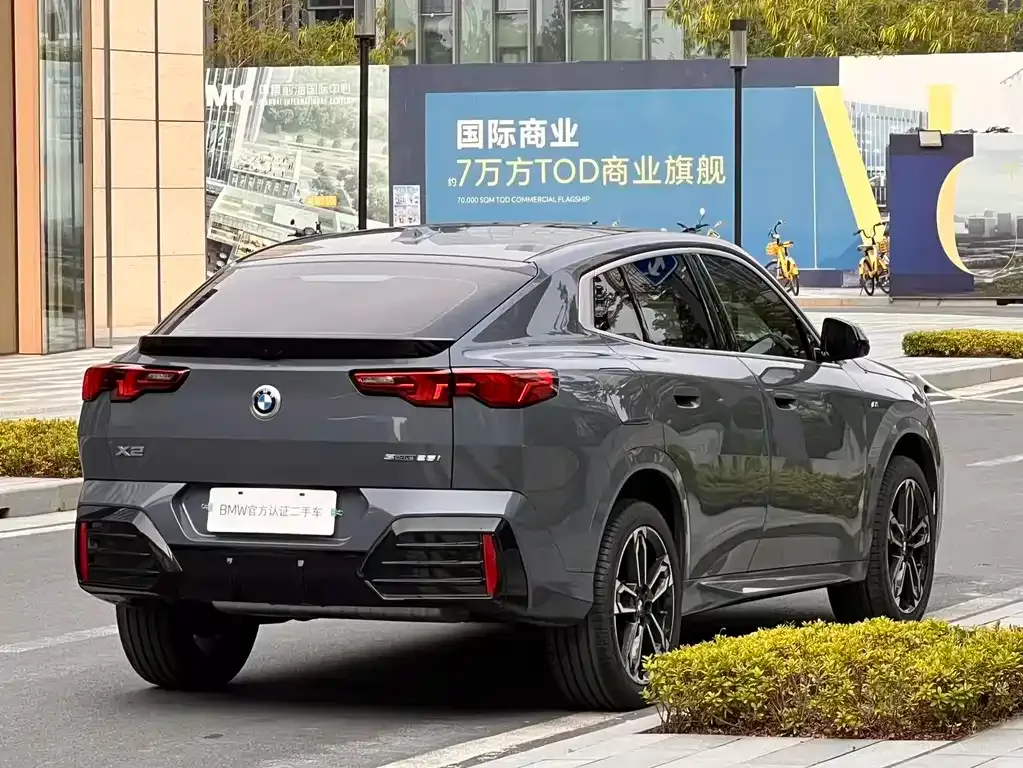 BMW X2 (Import) 2024 из CN, фото 10