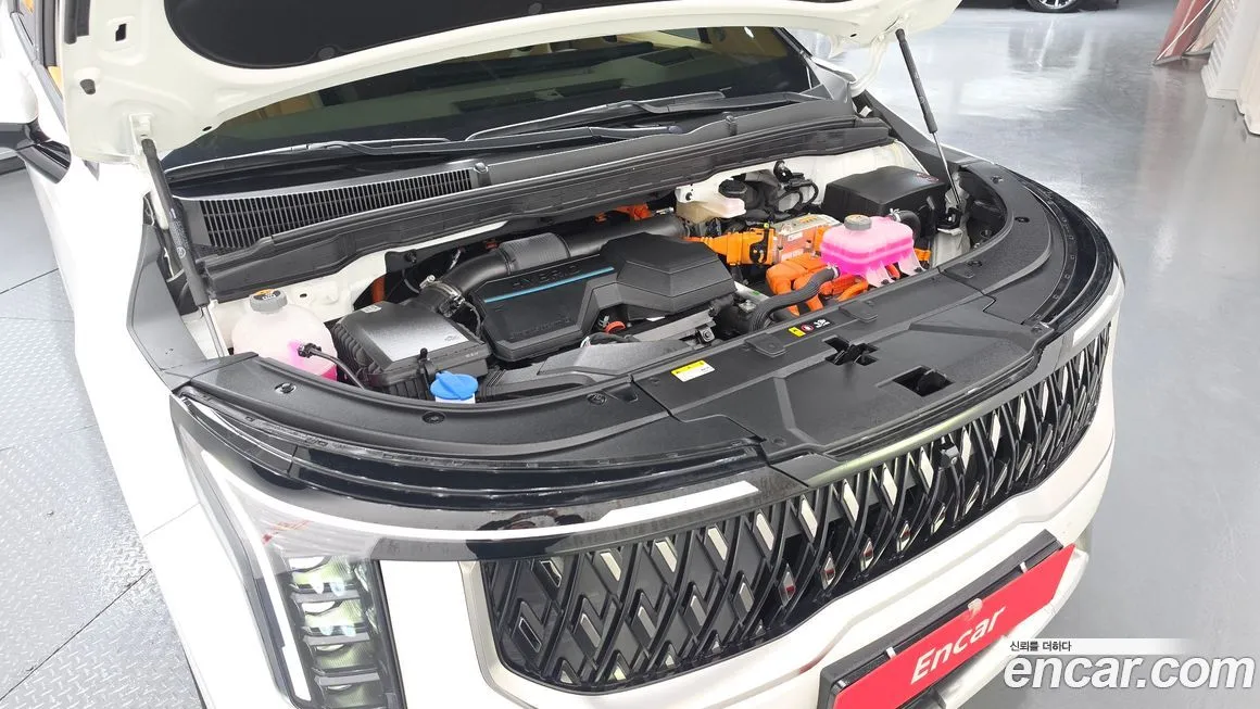 Kia Carnival — фото 10