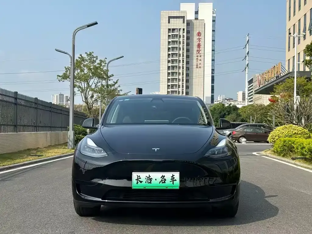 Tesla Model Y — фото 2