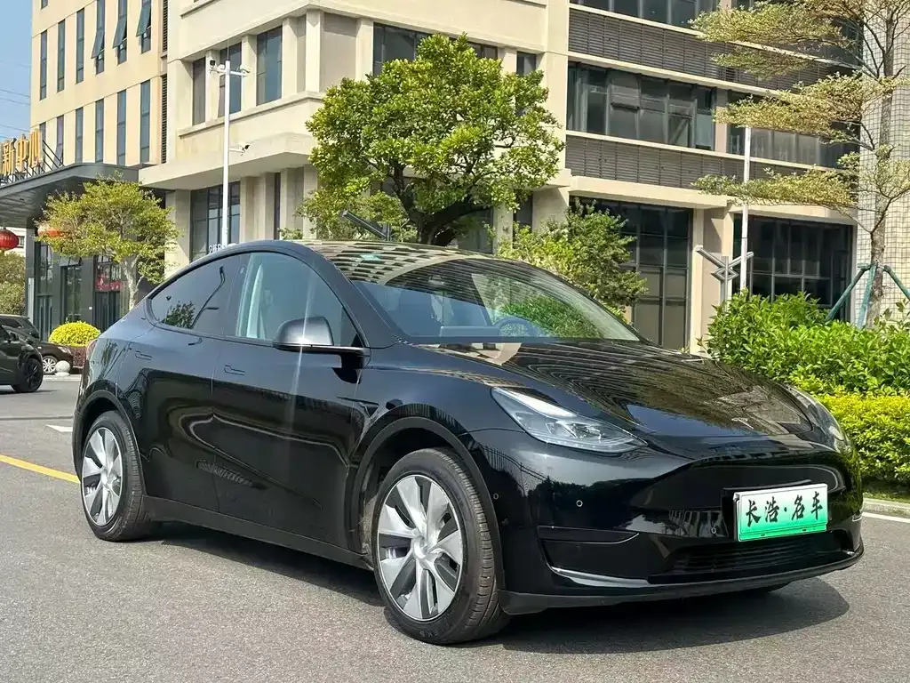 Tesla Model Y — фото 9