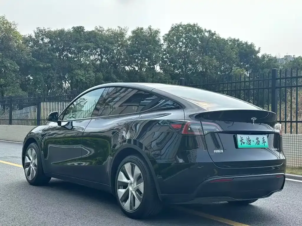 Tesla Model Y — фото 6