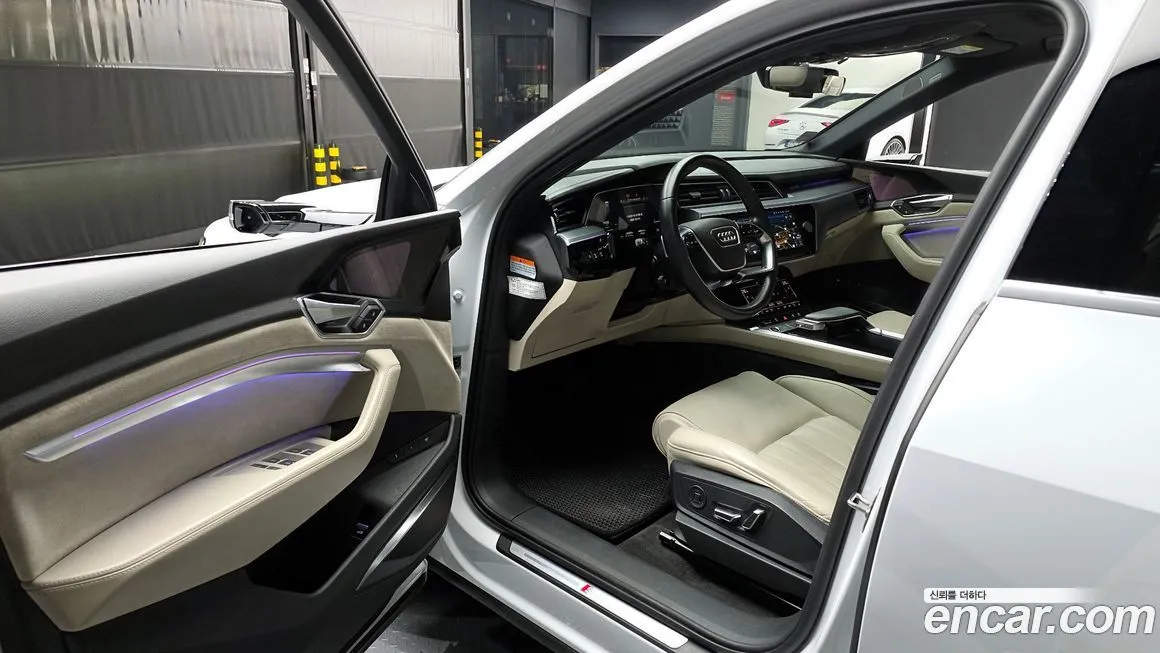 Audi e-tron 2021 из KR, фото 10