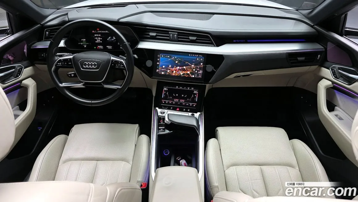 Audi e-tron 2021 из KR, фото 9