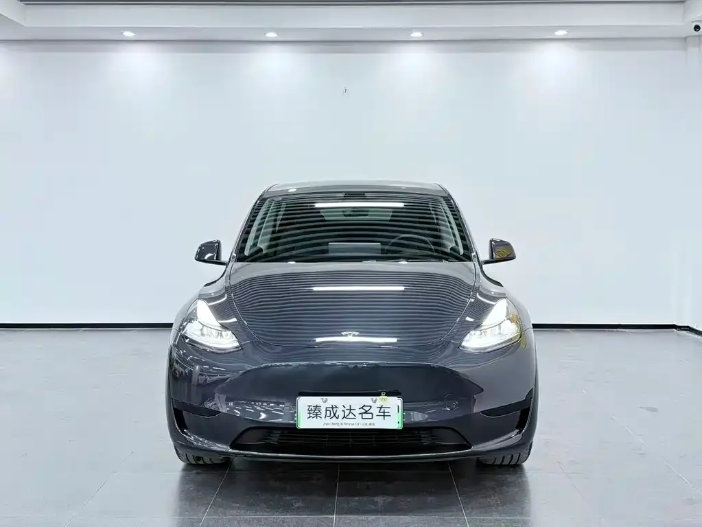 Tesla Model Y — фото 9