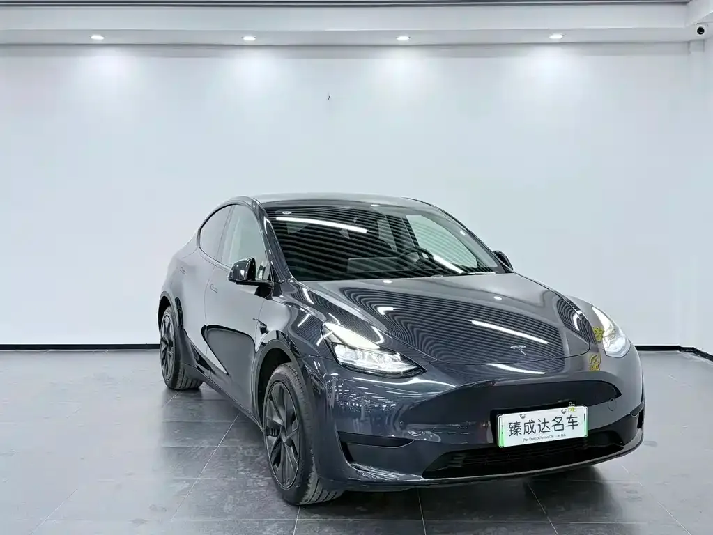 Tesla Model Y — фото 4