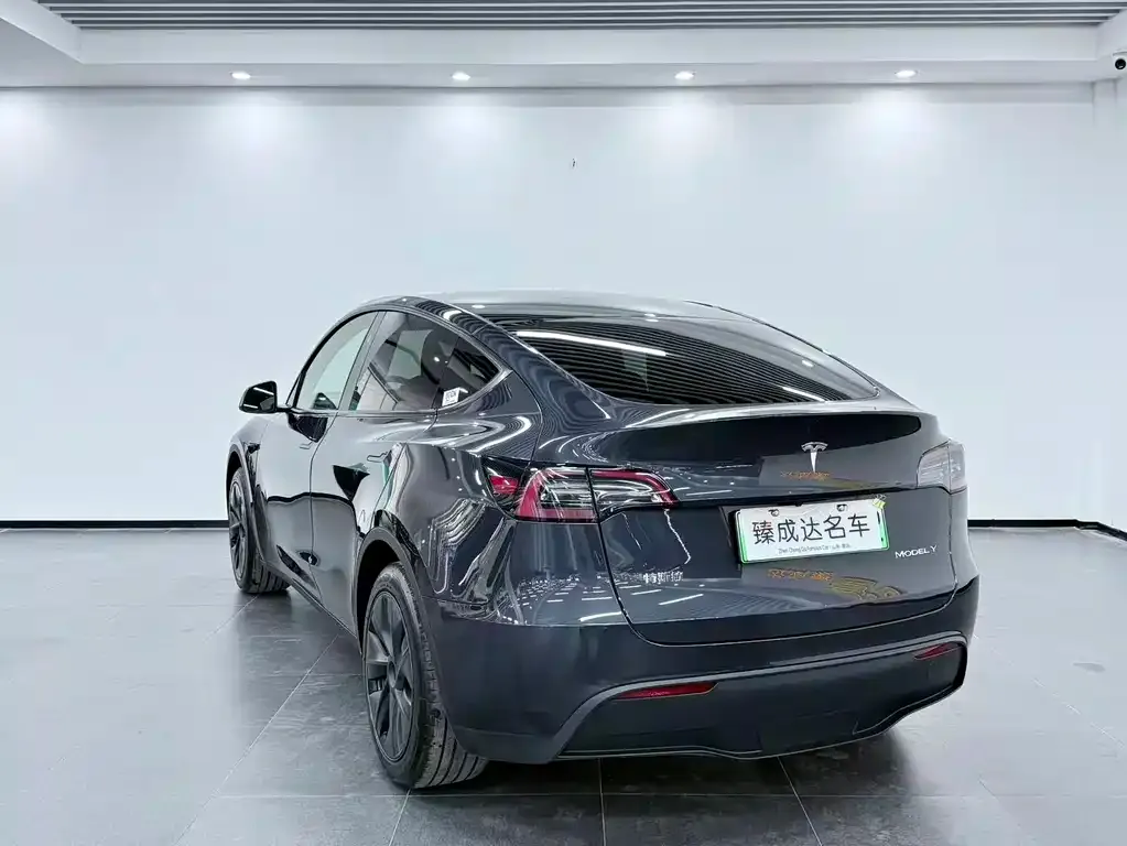 Tesla Model Y — фото 8