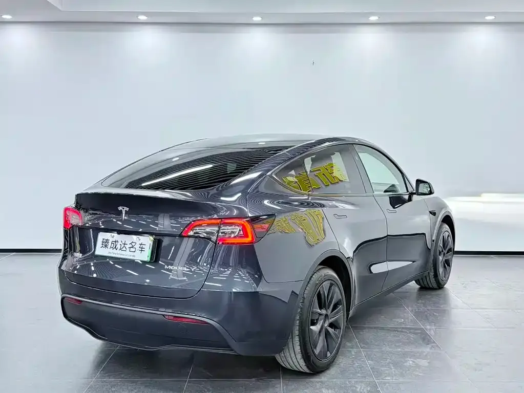 Tesla Model Y — фото 3