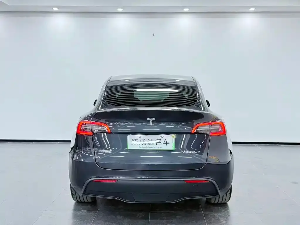 Tesla Model Y — фото 10