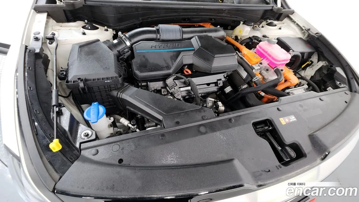 Kia Sportage — фото 10