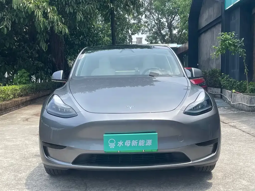 Tesla Model Y — фото 8