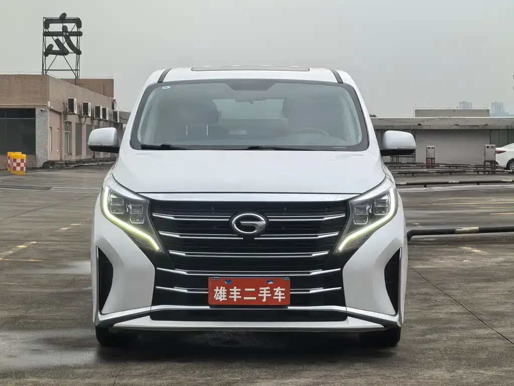 GAC Motor Trumpchi M8 2023 из CN, фото 4